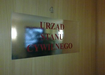 Mielec: Liczby i statystyki.