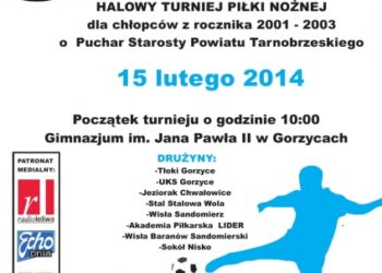 Turniej piłkarski o puchar starosty powiatu tarnobrzeskiego