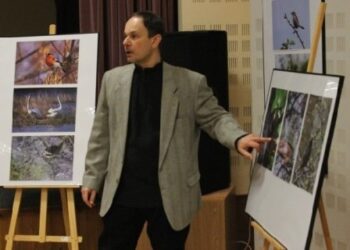 Przecław: Wystawa PTAKI – Piotra Mika