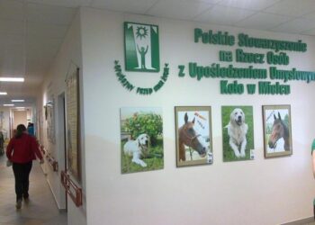 Mielec: Piłkarze spotkają się w OREW.