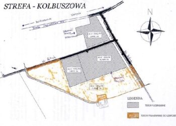 Kolbuszowa: Powiat chce uzbroić tereny przyległe do kolbuszowskiej strefy.