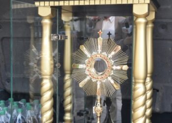 Tarnobrzeg. Z monstrancją do Papieża Franciszka.