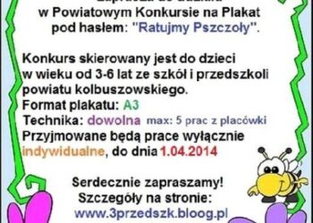 Kolbuszowa: Impreza miodem malowana.