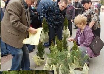 Stalowa Wola: Pięć tysięcy sadzonek rozda Starostwo.
