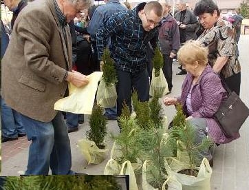Stalowa Wola: Pięć tysięcy sadzonek rozda Starostwo.