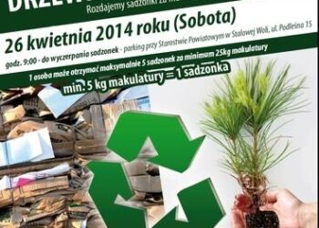 Stalowa Wola: Drzewko za makulaturę już w sobotę