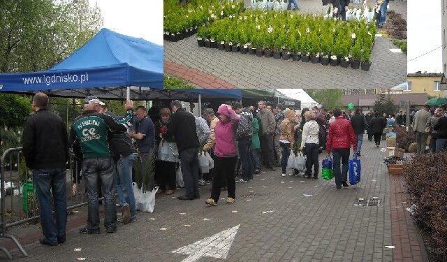 Stalowa Wola: Rozdawali zielone za makulaturę.