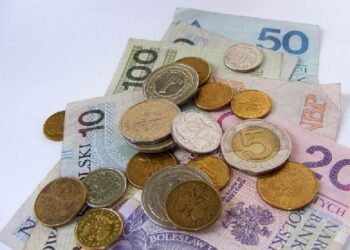 Raniżów: Radny chce stałych pensji dla sołtysów.