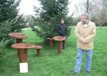 Tarnobrzeg.  Wiklinowe wariacje na temat „Pana Tadeusza” .