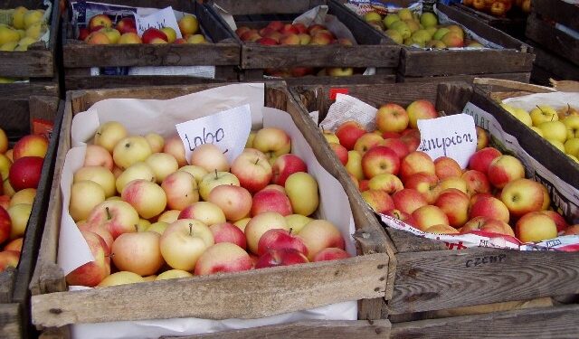 Świętokrzyskie: Eksport warzyw szansą dla gospodarki