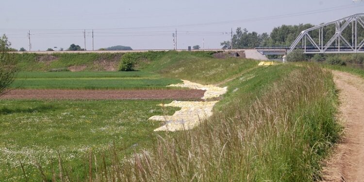 Gorzyce: Wał przeciekał, gmina chce wyjaśnień