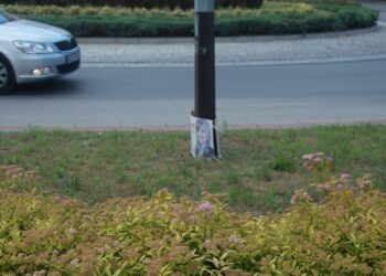Tarnobrzeg. Komitety wyborcze mają kilka dni na sprzątnięcie plakatów.