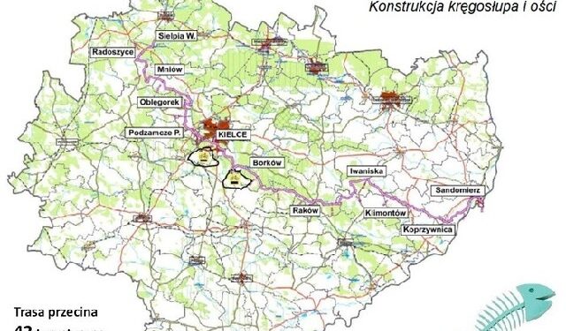 Sandomierz: Miasto na szlaku rowerowym