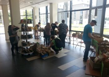 Stalowa Wola: Gratka dla moli książkowych