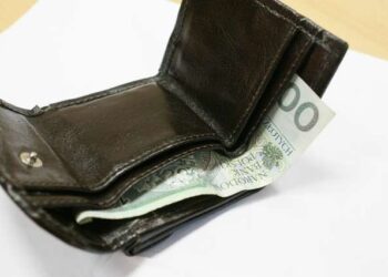 Mielec: Ukradła portfel, bo skusiła ją okazja