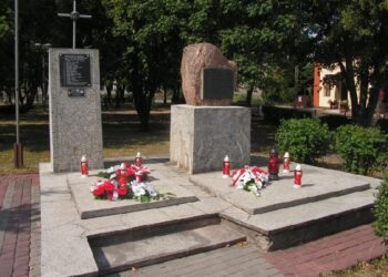 Borowa: Dni Gminy Borowa.