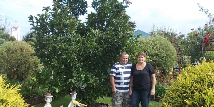 Tarnobrzeg. Wzorowa działka we wzorowym ogrodzie.