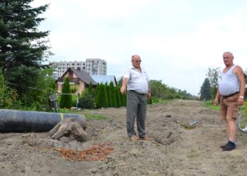 Tarnobrzeg: Działkowicze czekają na aleję