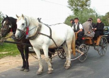 Kolbuszowa: Skansen zaprasza na imprezę z koniem w roli głównej