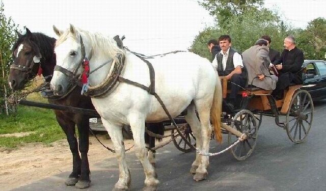 Kolbuszowa: Skansen zaprasza na imprezę z koniem w roli głównej