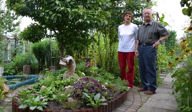 Tarnobrzeg: Najładniejsza działka w mieście