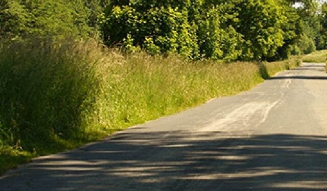 Wola Raniżowska: Woda z zachwaszczonych rowów zalewa pola uprawne