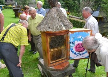 Stalowa Wola: O pszczołach i miodach na forum.