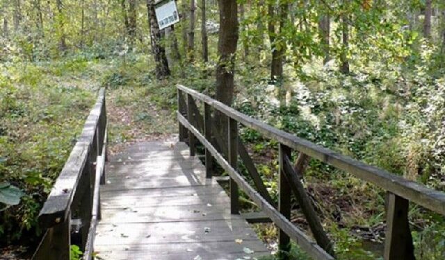 Kolbuszowa: Zaniedbane trasy rowerowe