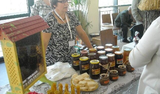 Stalowa Wola: W Bibliotece zaroiło się od uli miodu i pszczół