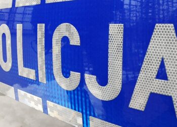 Mielec:  Policjanci ustalili sprawców kradzieży i włamania