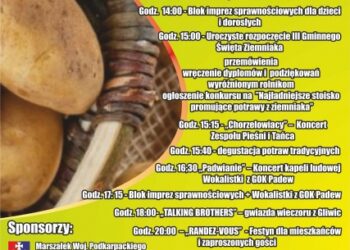 Święto Ziemniaka w Padwi Narodowej