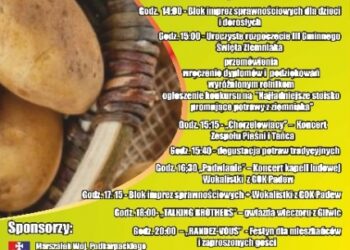 Padew Narodowa: III Gminne Święto Ziemniaka.