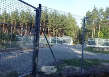 Mielec:  Zapomniano o zwierzętach i ludziach