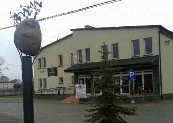 Kolbuszowa Górna: Święto ziemniaka.