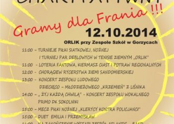 Gorzyce: Piknik charytatywny dla Frania