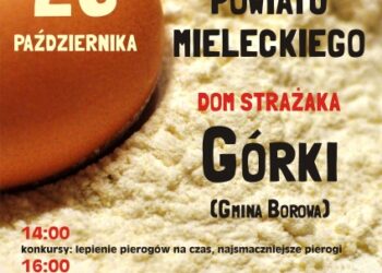 VI Pierogowe Mistrzostwa Powiatu Mieleckiego