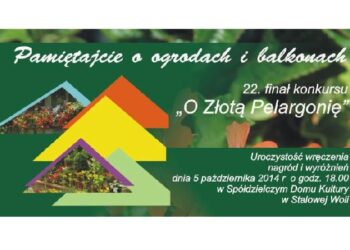 Stalowa Wola: Finał konkursu O Złotą Pelargonię.