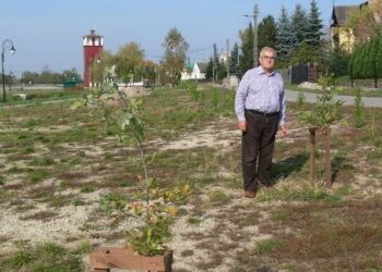 Baranów Sandomierski: Seniorzy posadzili drzewa