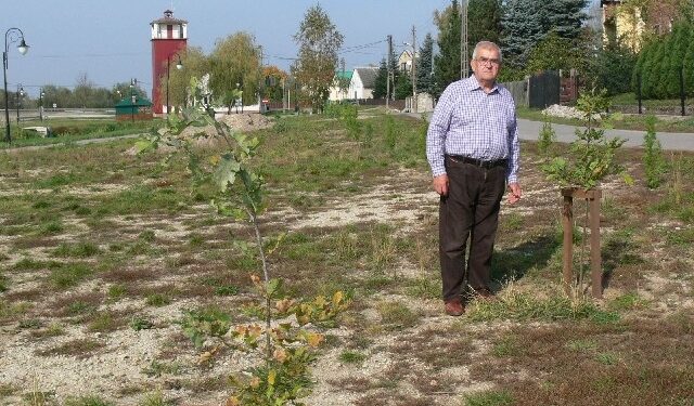 Baranów Sandomierski: Seniorzy posadzili drzewa