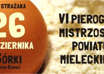 Borowa: VI Mistrzostwa Pierogowe Powiatu Mieleckiego.