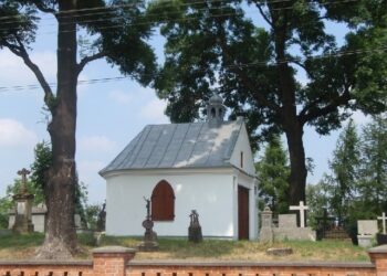 Radomyśl Wielki: Radomyskie lapidarium