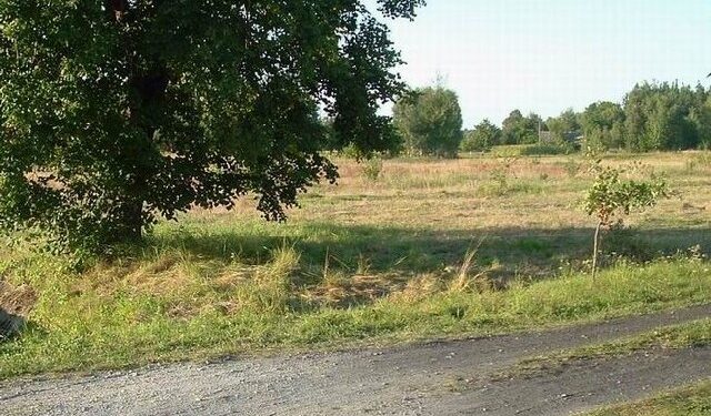 Mielec: Podatek rolny bez zmian.