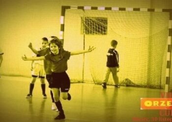 Mielec: Orzech CAP 2014-11-26.