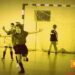 Mielec: Orzech CAP 2014-11-26.