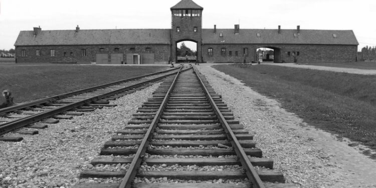 Tarnobrzeg. Projekcja filmu „Wojenne losy” w  rocznice wyzwolenia obozu koncentracyjnego Auschwitz.