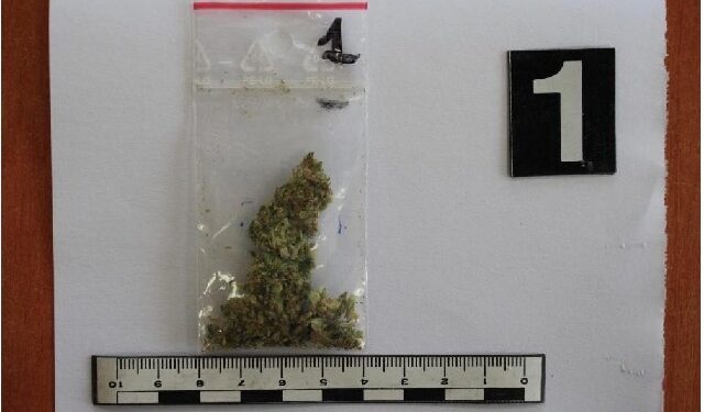 Mielec: Mielecki diler zatrzymany