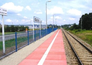 Podkarpacie: Po nowe rozwiązania dla kolei