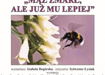 Tarnobrzeg. Spektakl „Mąż zmarł, ale już mu lepiej”. Dni Teatru.