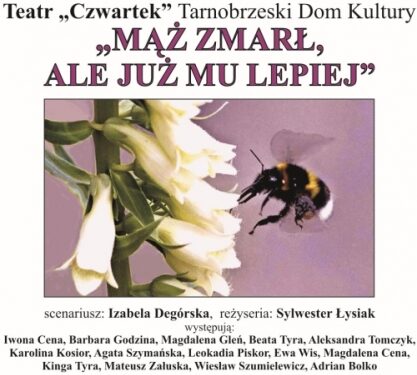 Tarnobrzeg. Spektakl „Mąż zmarł, ale już mu lepiej”. Dni Teatru.
