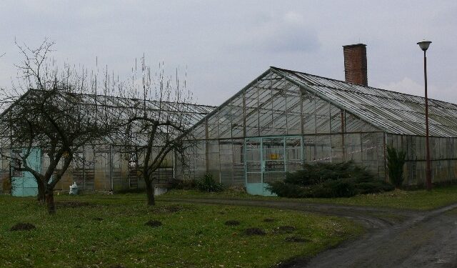 Region: Powiat tarnobrzeski chce remontować swoje placówki oświatowe